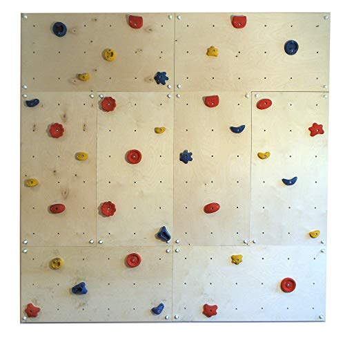 Indoor Kletterwand IW8 240 x 240 cm mit 40 Klettersteinen von Gartenpirat®