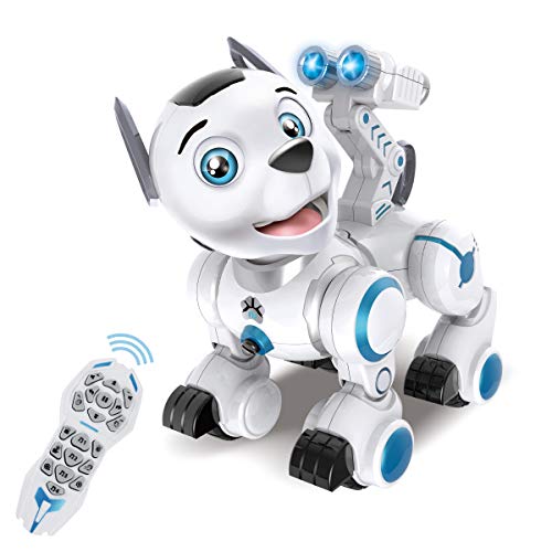 Beliebte Roboter Fur Kinder Technik Spielerisch Entdecken Let S Be Crazy