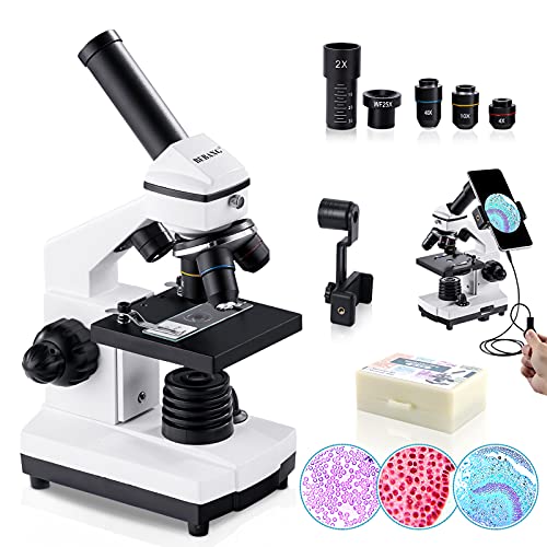 BEBANG 100X-2000X Mikroskop für Kinder Erwachsene, Professionelle Biologische Mikroskope für Studenten Schullabor Zuhause