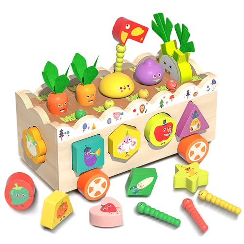 Montessori Spielzeug ab 1 2 3 Jahre, 10-in-1 Karottenernte Holzspielzeug Motorikspielzeug, Steckwürfel-Sortierspiel, Formen Farbe Stapelspielzeug als Lernspielzeug Geschenk für Mädchen und Jungen