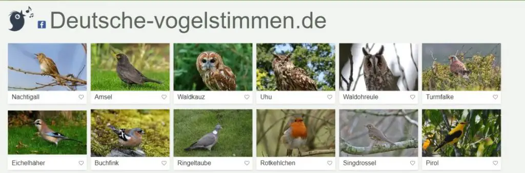 Deutsche Vogelstimmen